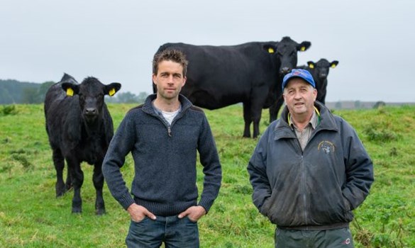 a couple of men posing for a picture with a couple of cows